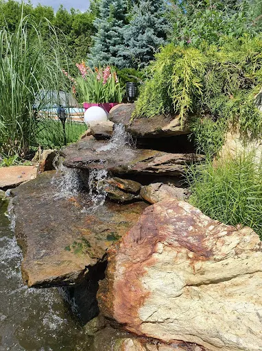 Usługi ogrodnicze - Zielony Folwark -budowa ogrodów, projektowanie ogrodów , prace ogrodnicze Warszawa